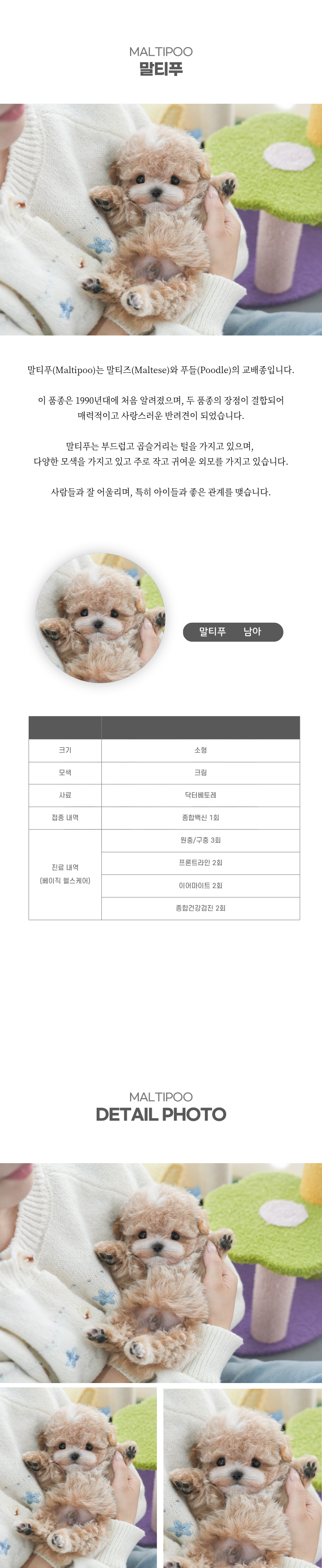 말티푸_상세이미지_2
